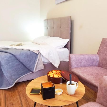 Dani Lux Belgrade Center Studio Apartment Eksteriør billede